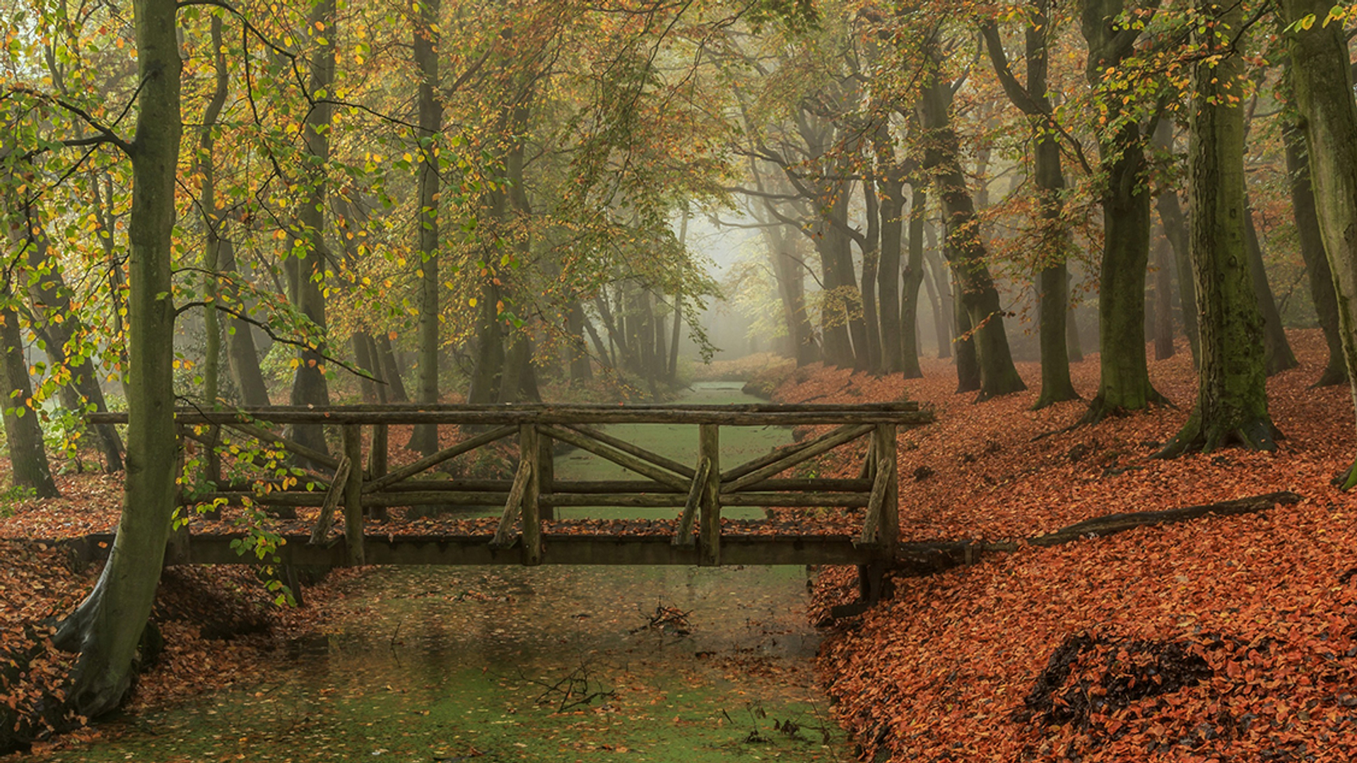 Op pad met Menno Bentveld: Kleurenpalet