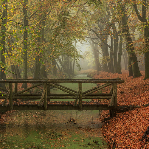 Op pad met Menno Bentveld: Kleurenpalet