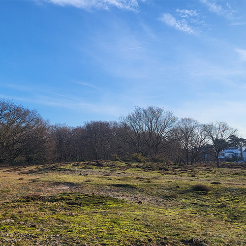 Afbeelding van Natuurgebied Wapendal in Den Haag staat onder druk