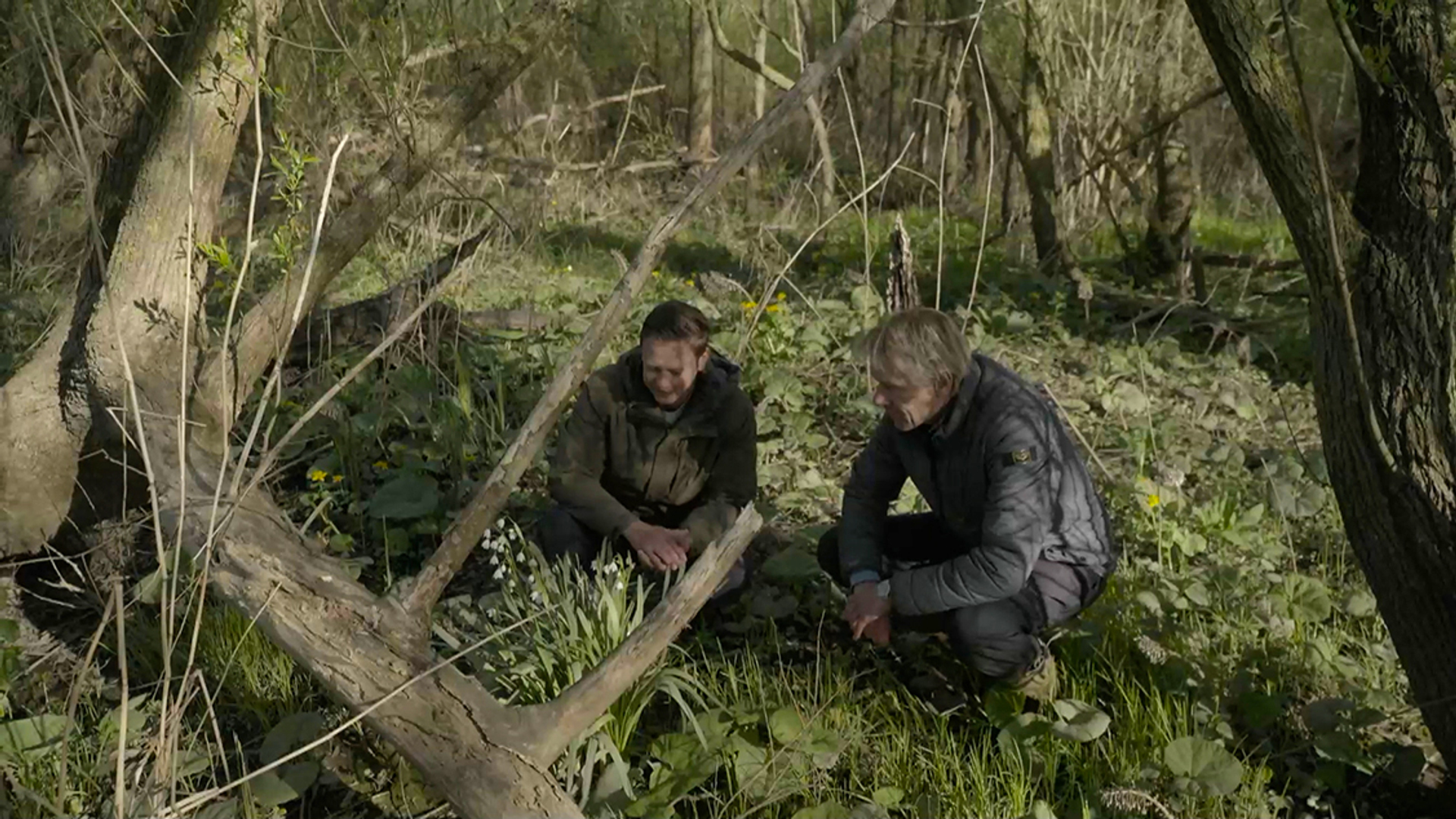 Op pad met Menno Bentveld: Hoogtij
