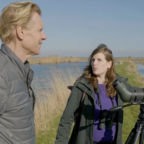 Afbeelding van Het weidevogelparadijs in de achtertuin van Amsterdam