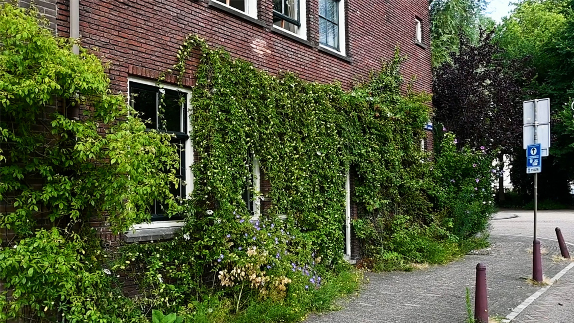 Geveltuin in Amsterdam