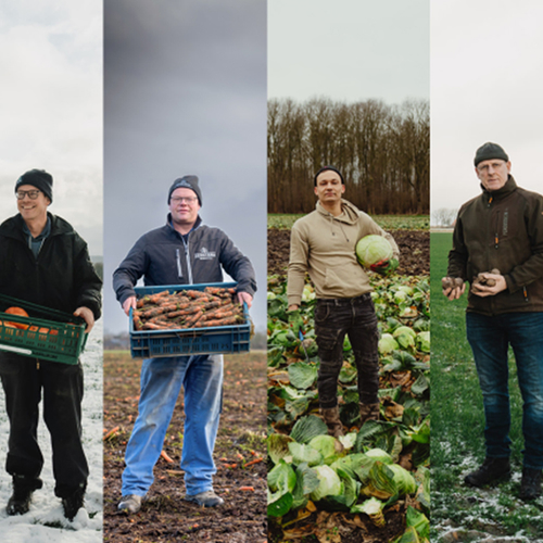Afbeelding van Ruim half miljoen kilo groente gered van verspilling