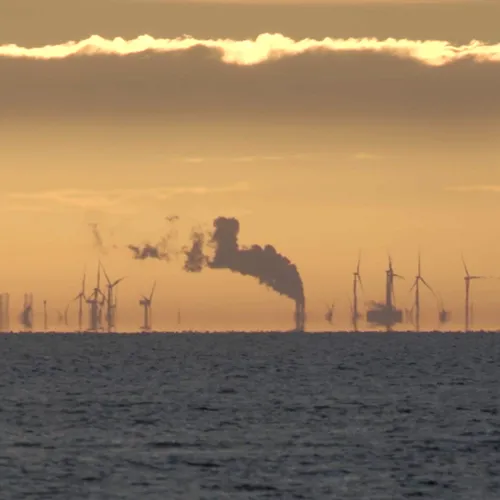 Afbeelding van Stroomkabel dwars door natuur Schiermonnikoog