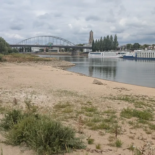 Afbeelding van Oplossing lage waterstanden is enorme kans voor natuur