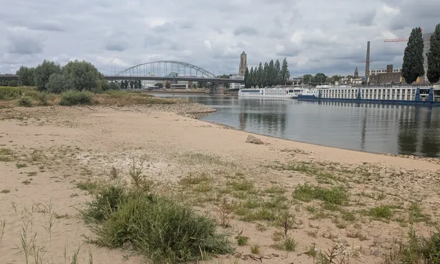 Afbeelding van Oplossing lage waterstanden is enorme kans voor natuur