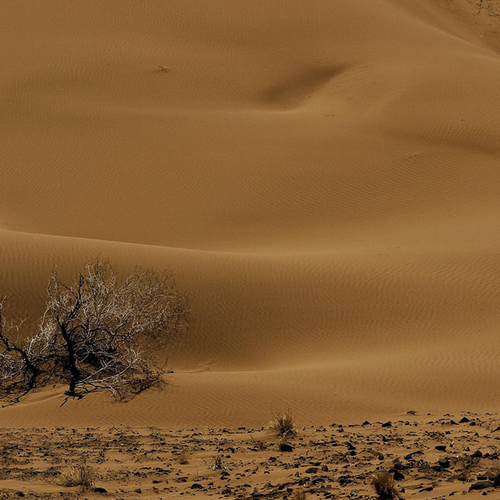 Extreme droogte in Iran gelinkt aan uitstoot fossiele brandstoffen
