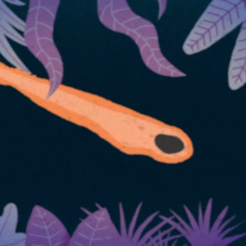 Unieke reconstructie van meteorietinslag die einde maakte aan dinotijd