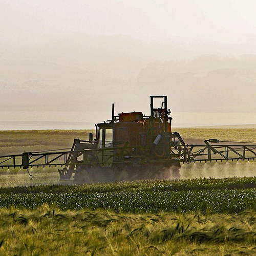 Afbeelding van Risico’s pesticiden bevestigd door nieuw rapport