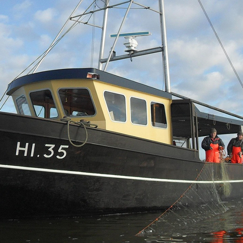 Afbeelding van IJsselmeer: vergunning voor vissen op aal met haken