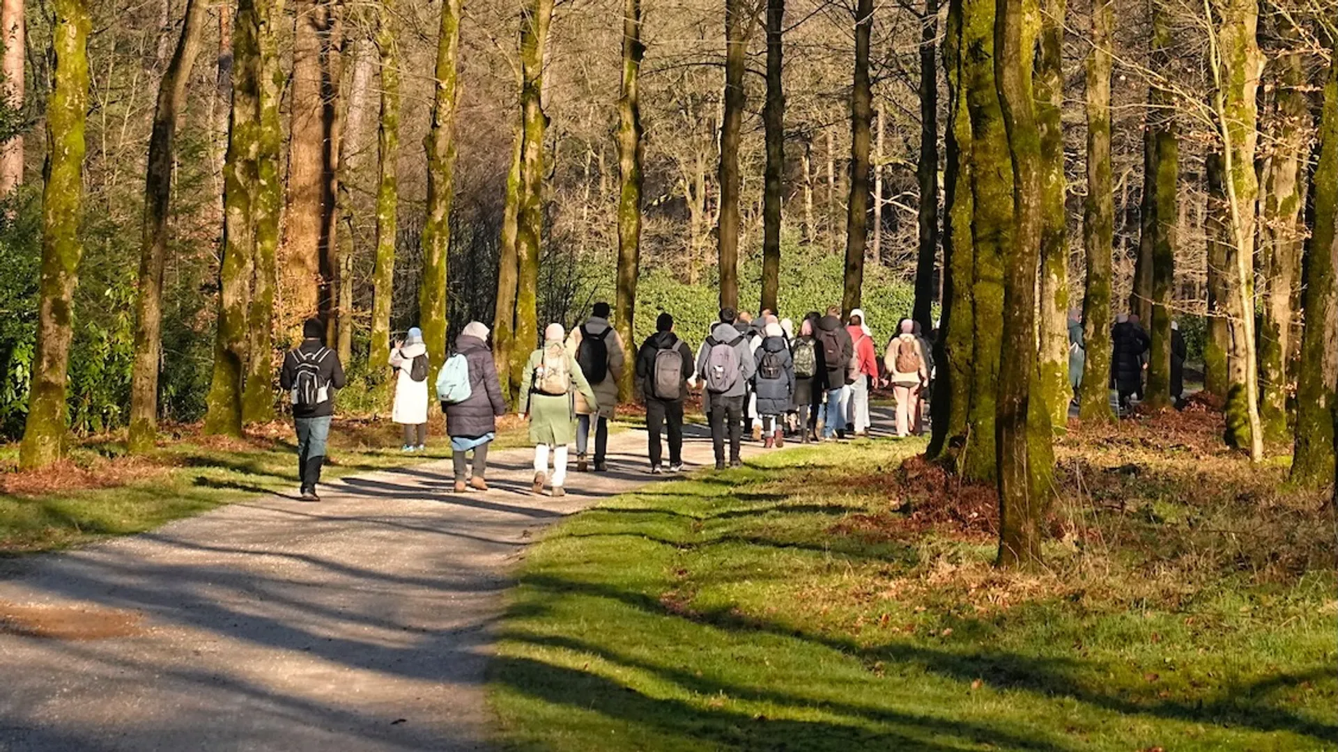 Groene moslims gaan zorgzaam om met de natuur