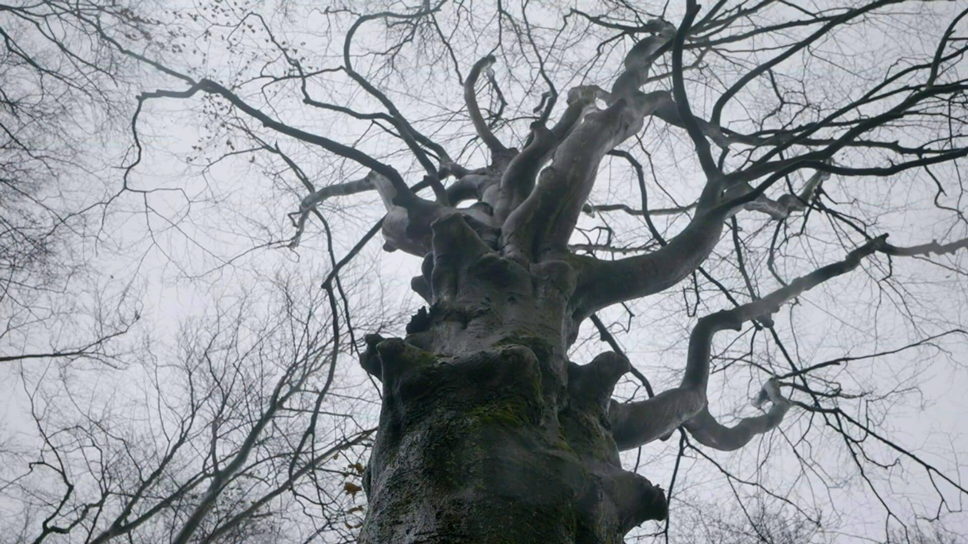 Park Schothorst: het groene hart van Amersfoort