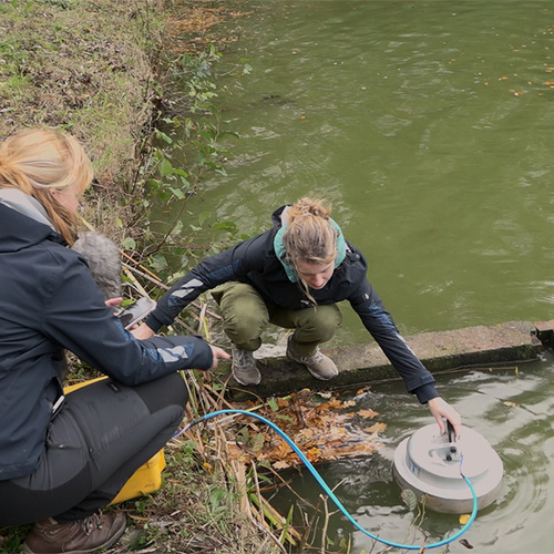 Afbeelding van Hoe vervuilend is ons rioolwater?