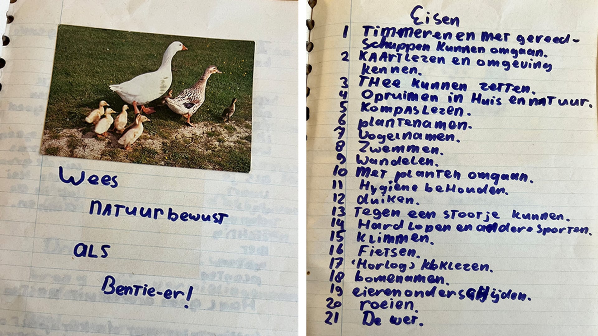 Op pad met Menno Bentveld: BENTIE