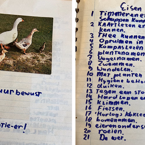 Afbeelding van Op pad met Menno Bentveld: BENTIE