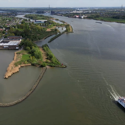 Afbeelding van Getijdenatuur bijna verdwenen, maar niet langs de Nieuwe Maas