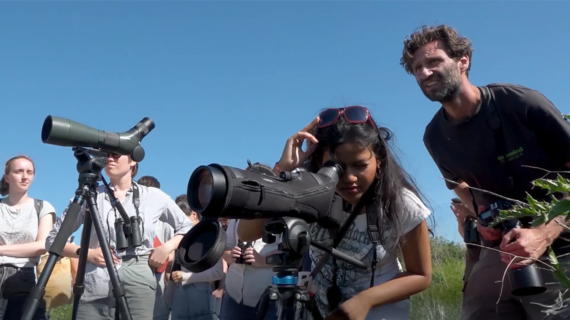 Afbeelding van Studentenaantallen klimaat en duurzaamheid nemen af