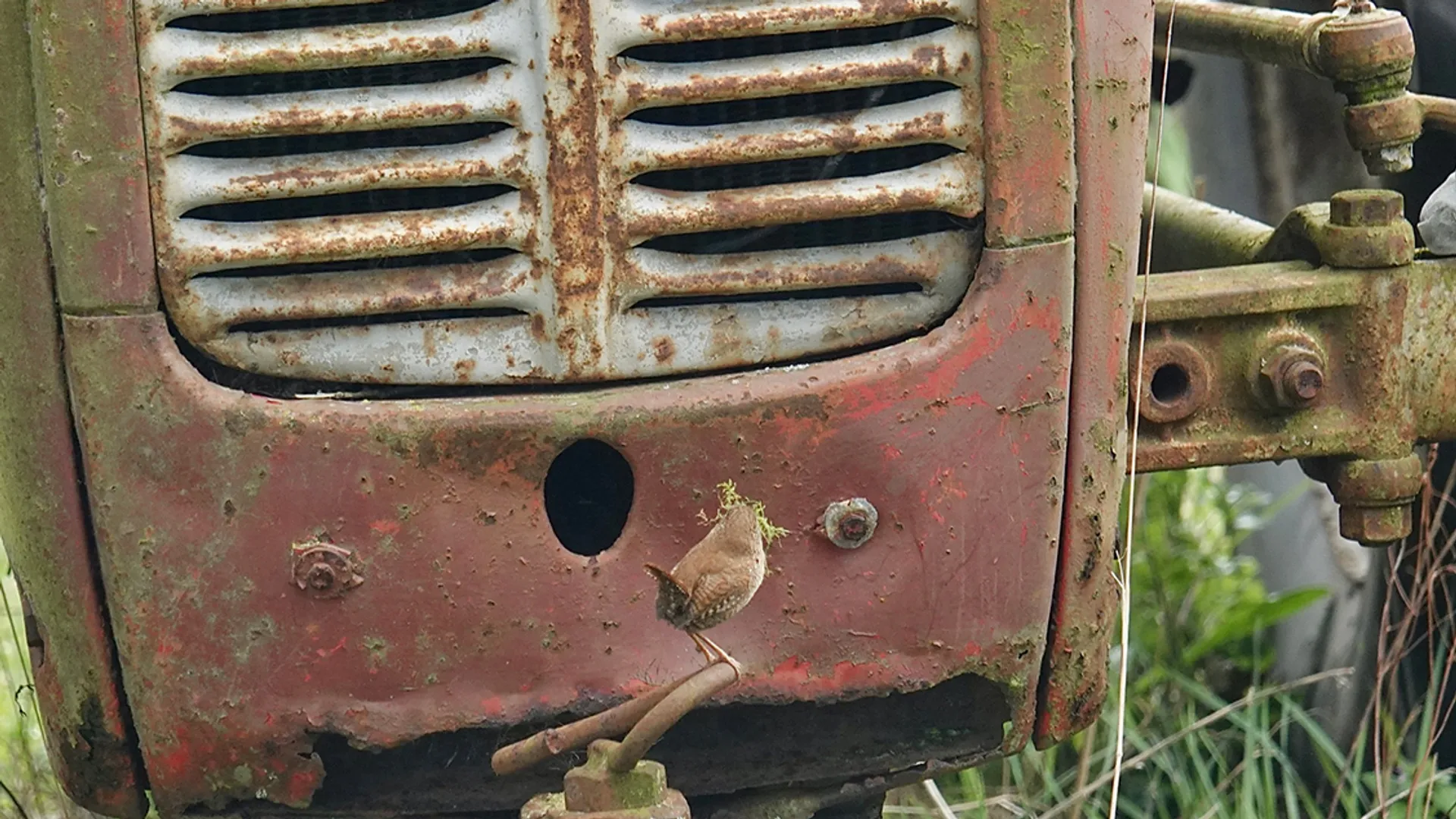oude-tractor-winterkoning