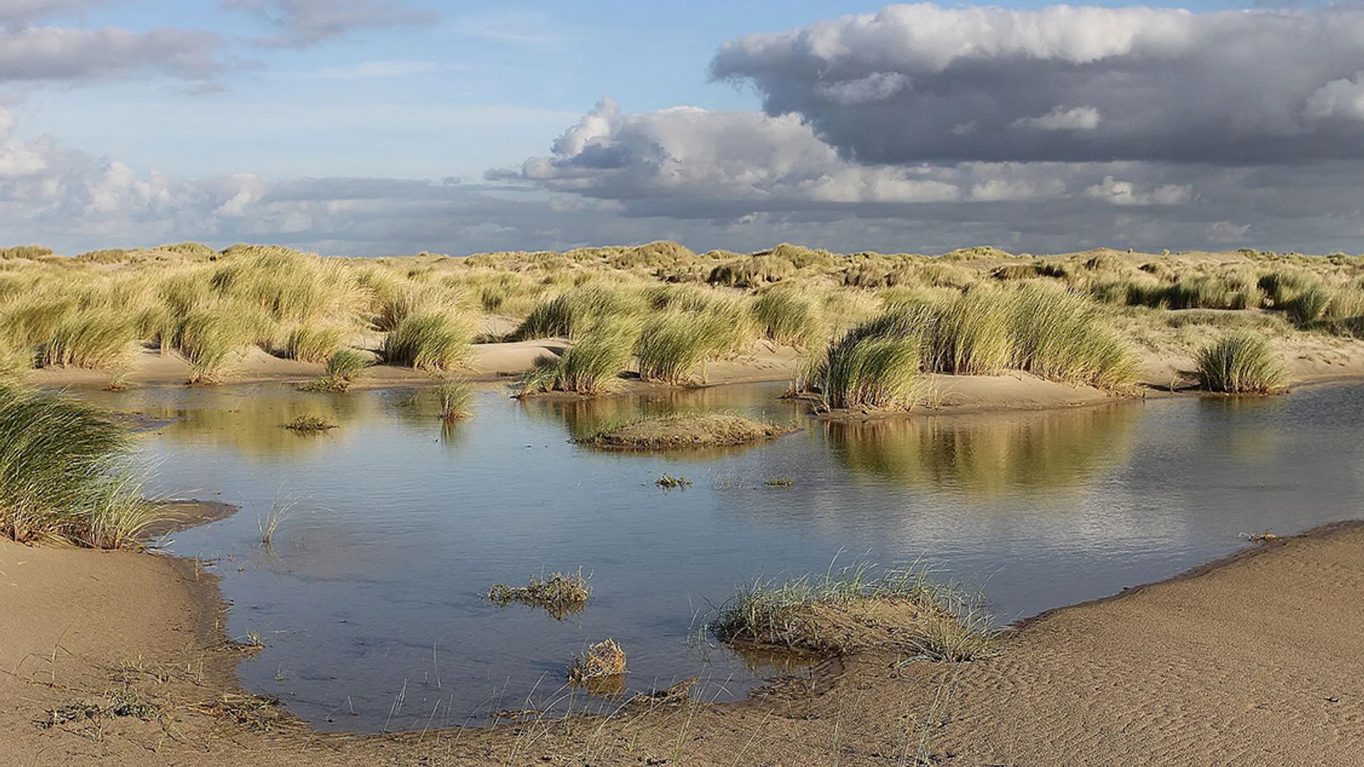 Hors-texel