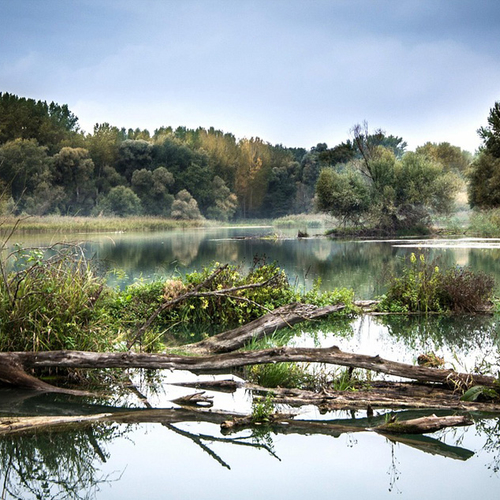 Steeds meer rivieren in Zuidoost-Europa krijgen weer vrije loop