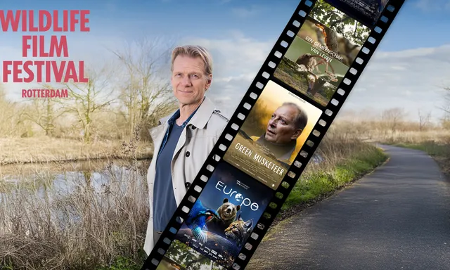 Afbeelding van Speciale Vroege Vogels Dag op het Wildlife Film Festival
