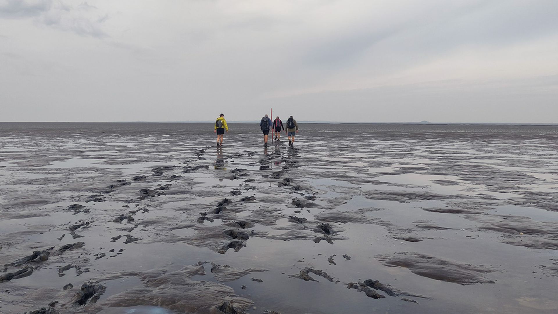 Wadlopen