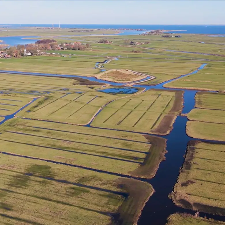 Afbeelding van Vroege Vogels TV | 19 april 2026 | Waterland
