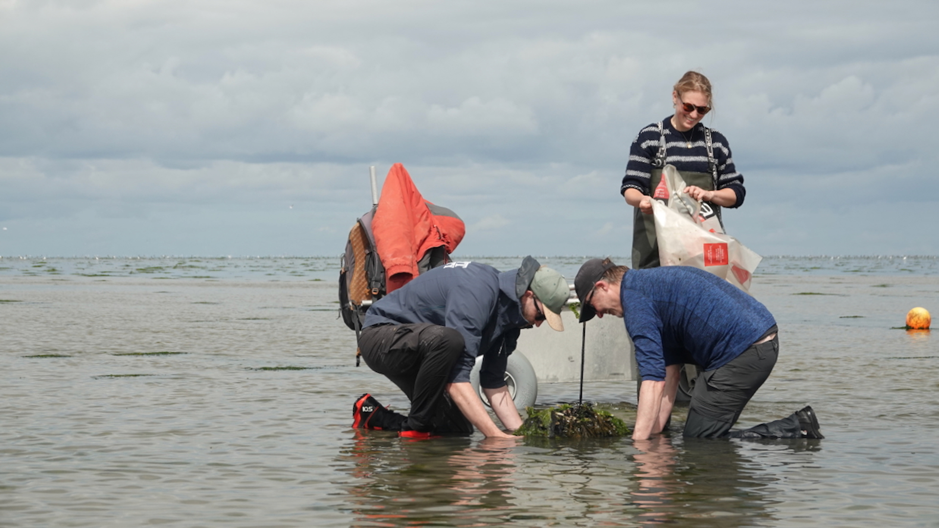 Ralph Temmink en Tjisse van der Heide tillen een van hun kunstriffen uit de bodem van de Waddenzee bij Texel (c) Rob Buiter