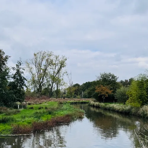 Afbeelding van Schadelijke lozingen Nyrstar bedreigen natuur Dommel