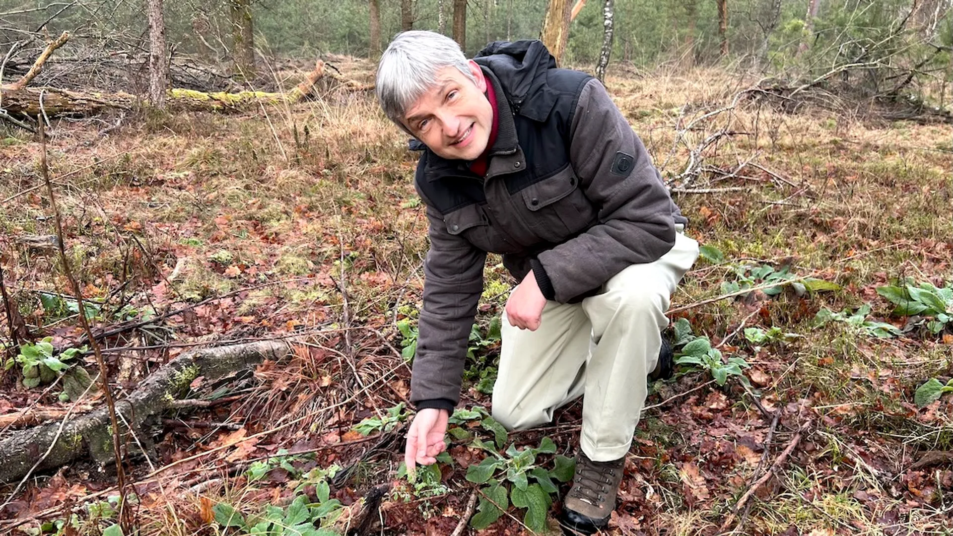 Ecoloog redt bos van stikstof-ondergang