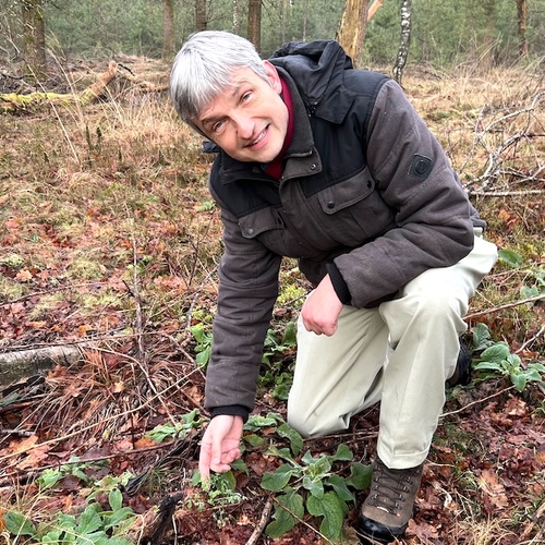 Afbeelding van Ecoloog redt bos van stikstof-ondergang