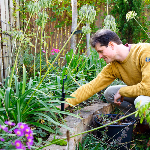 Afbeelding van Milieu Centraal: laat onkruid staan in Maand van de Groene Tuin