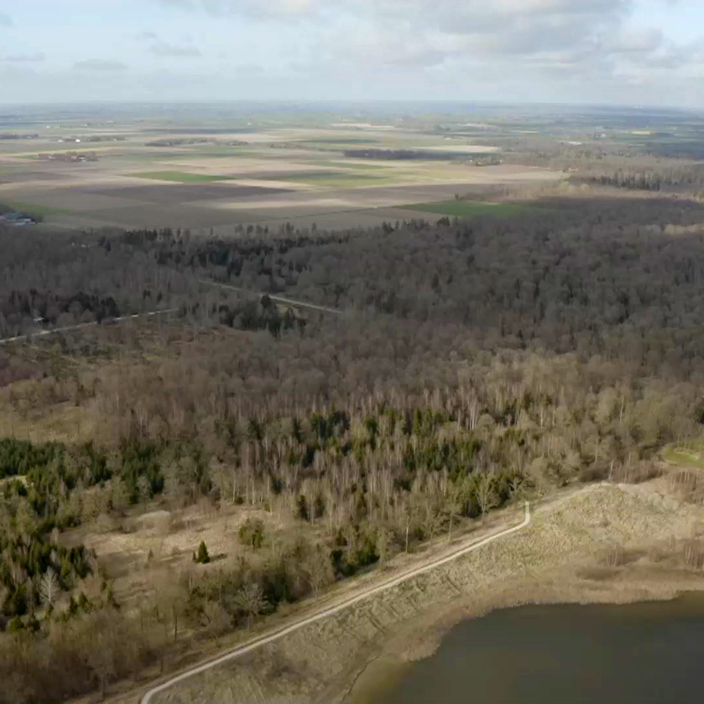 Afbeelding van Vroege Vogels TV | 11 mei 2025 | Kuinderbos