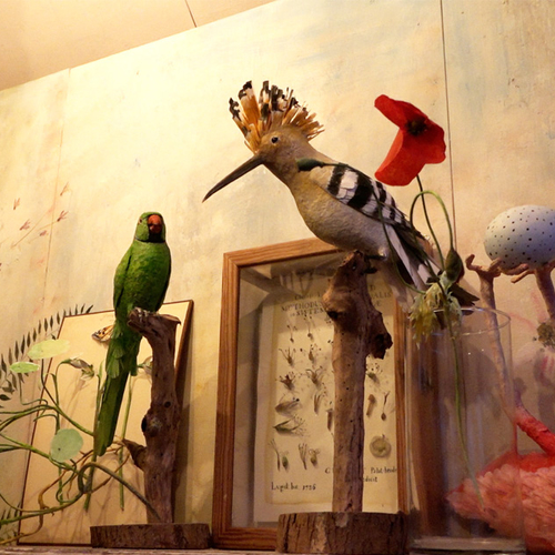 Afbeelding van Kunstenaar Nathalie Wijker vangt de natuur in papier + filmpje