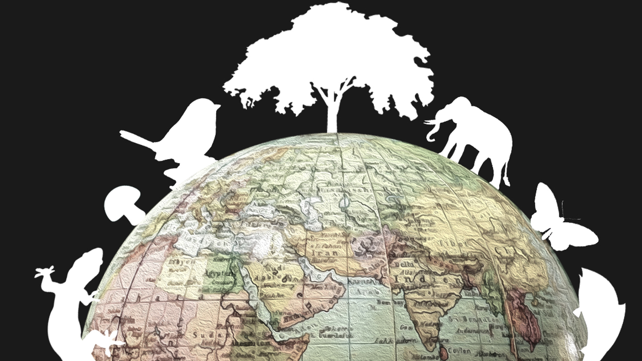 biodiversiteit
