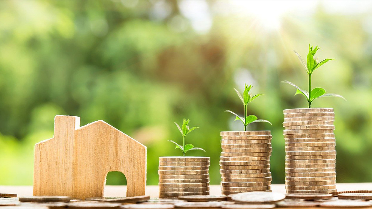 groen geld investeren_pixabay