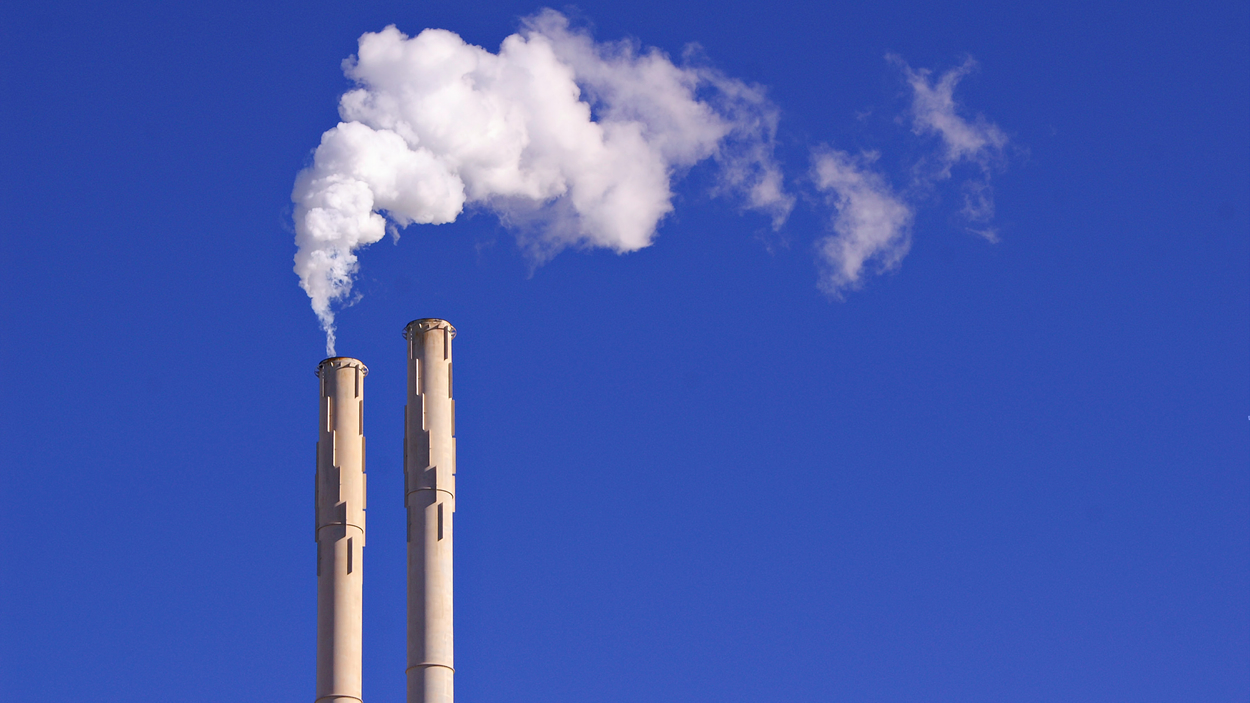 co2_41.jpg