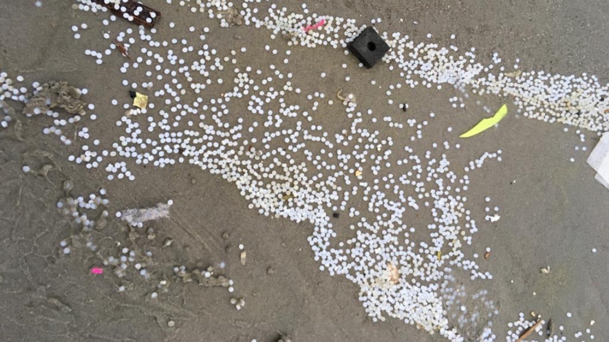 Miljoenen plastic korreltjes op Schiermonnikoog