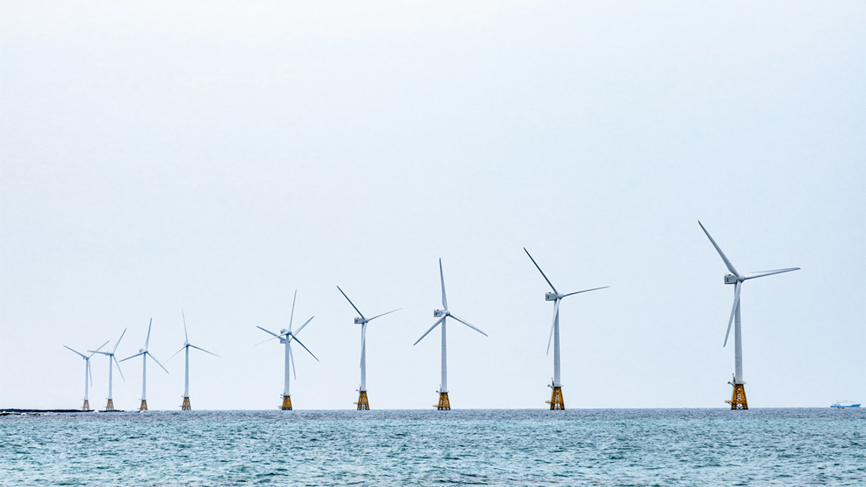 windmolenpark_unsplash