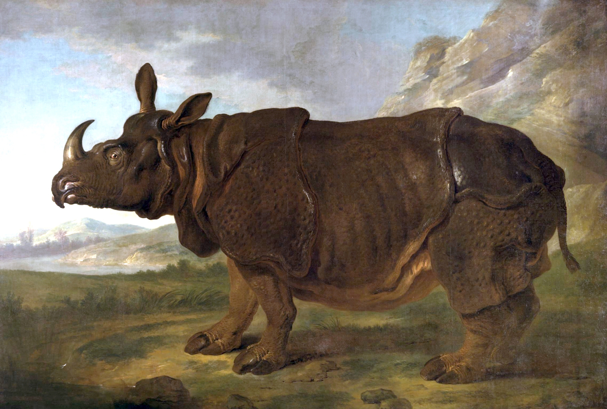 Clara de neushoorn, Jean-Baptiste Oudry, 1749,