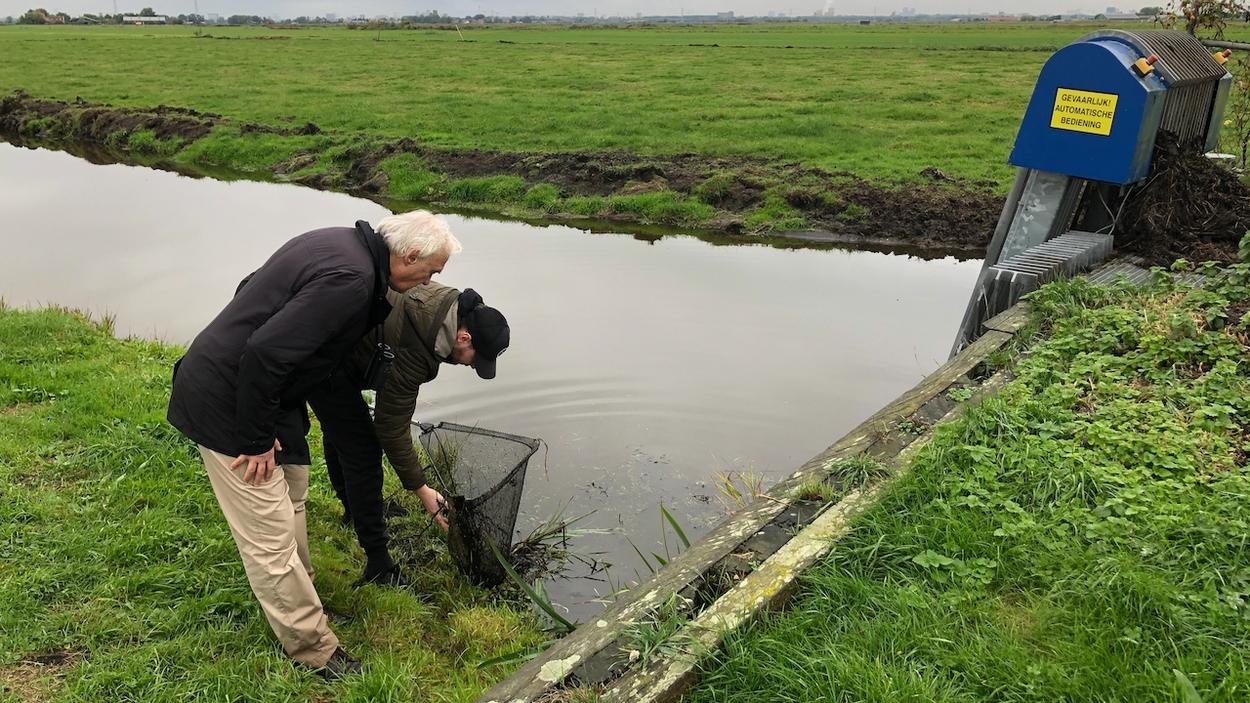 Wolven op het ruiterpad | Nominatie Jan Wolkers Prijs - Vroege Vogels