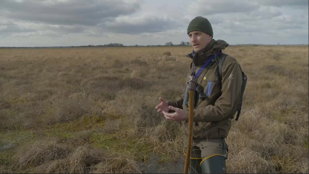 Saving the Fochteloërveen: a battle against climate change and peat loss