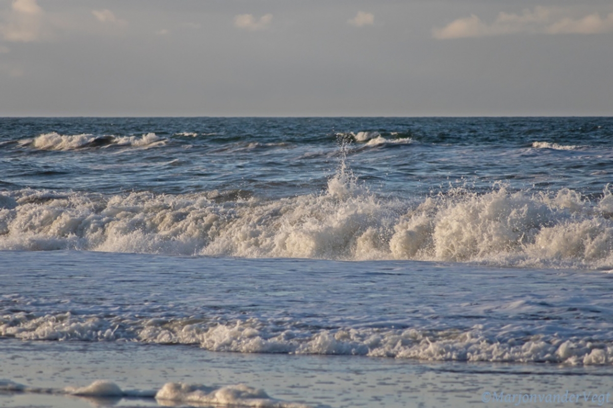 Afbeelding van Stijging zeespiegel langs Nederlandse kust neemt toe