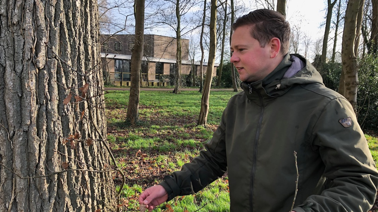 Stef van Walsum bij eik site