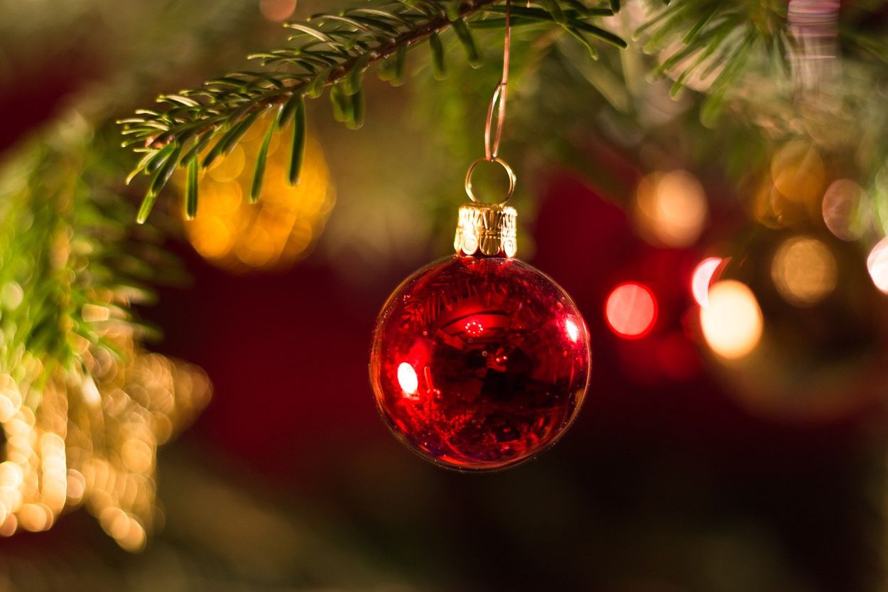 Afbeelding van Groene kerst: minder vlees of LED-lampjes in de boom