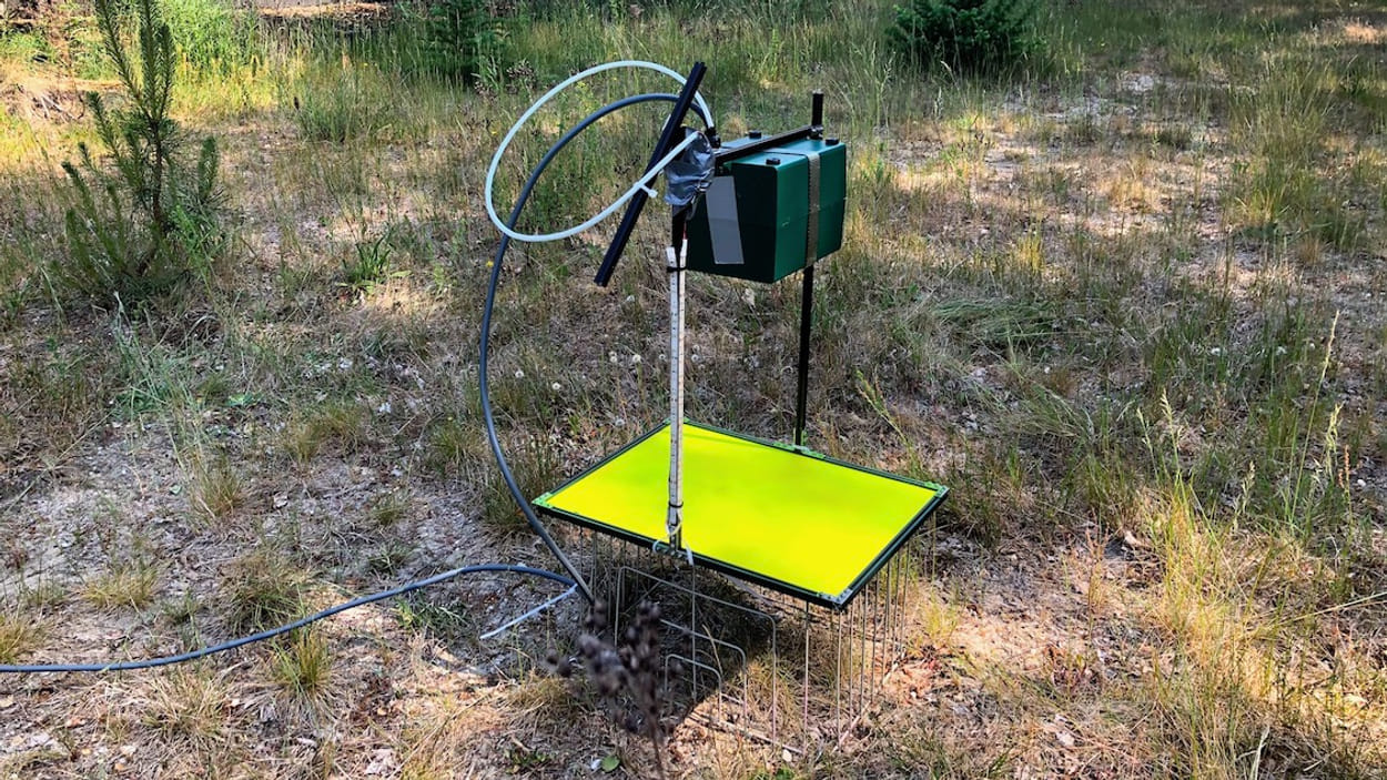 insectencamera