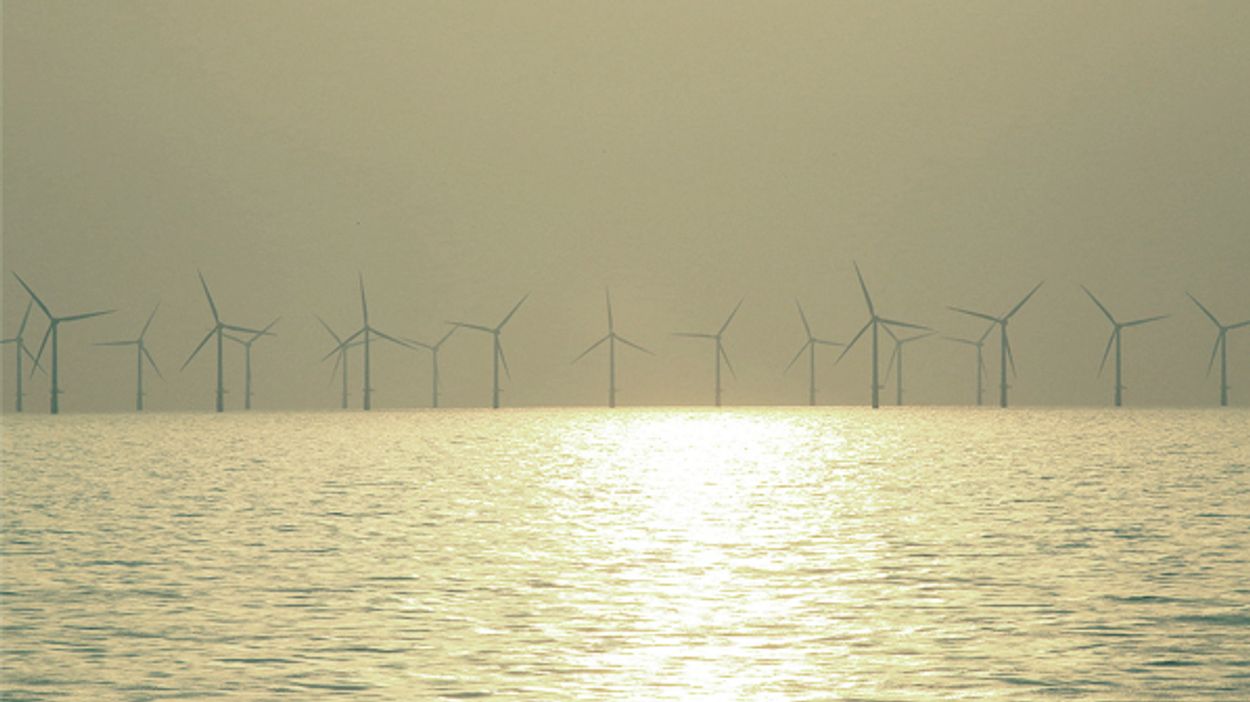 Afbeelding van BASF koopt de helft van een windmolenpark in de Noordzee