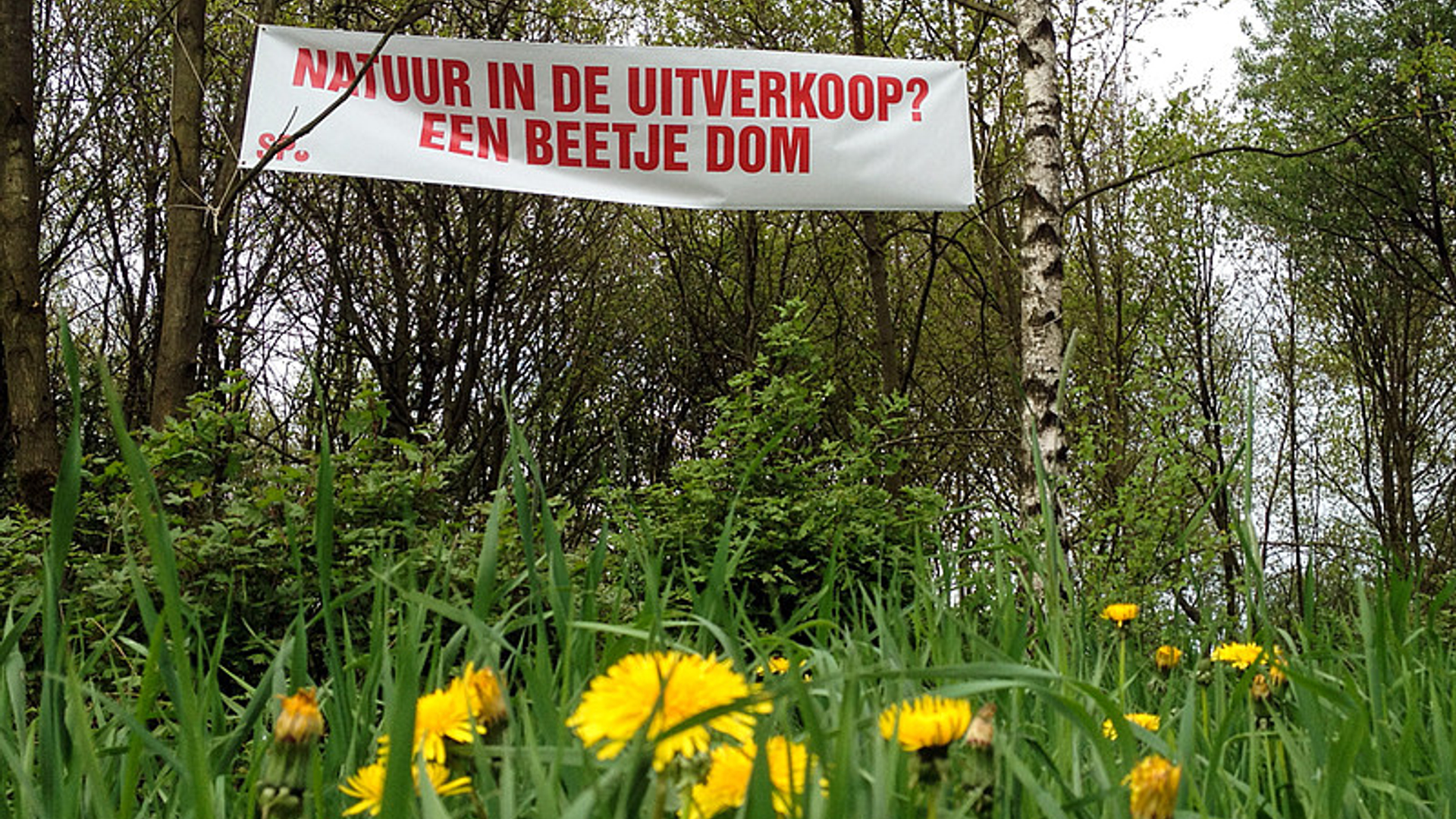 verkoop.jpg