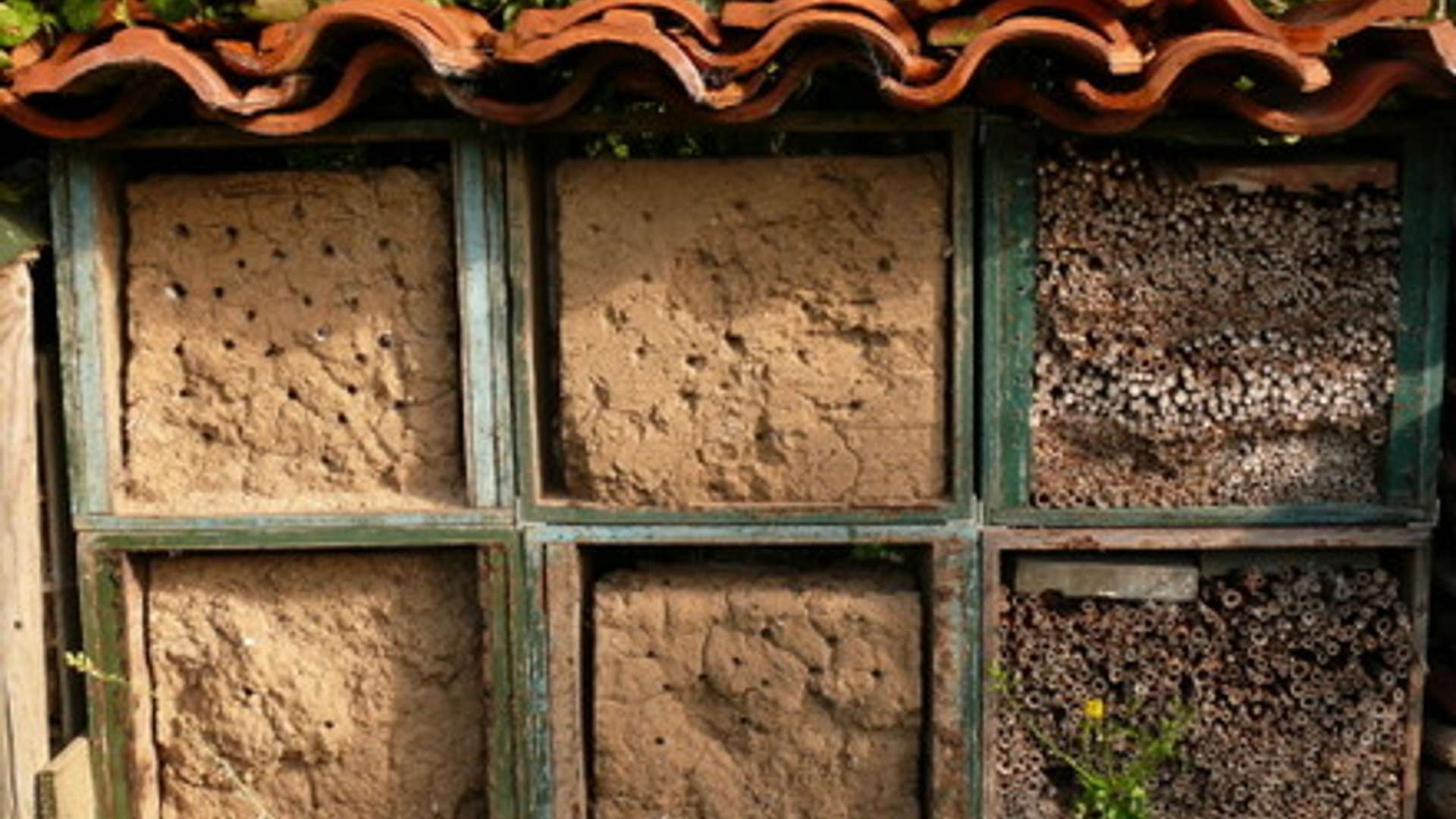 Insectenhotel.jpg