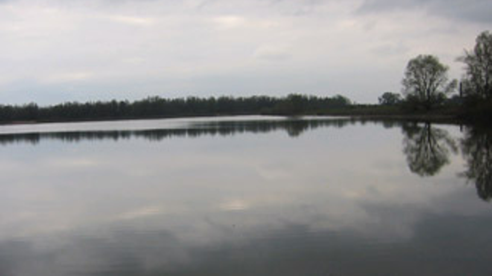 vv_newsimg_312508.jpg